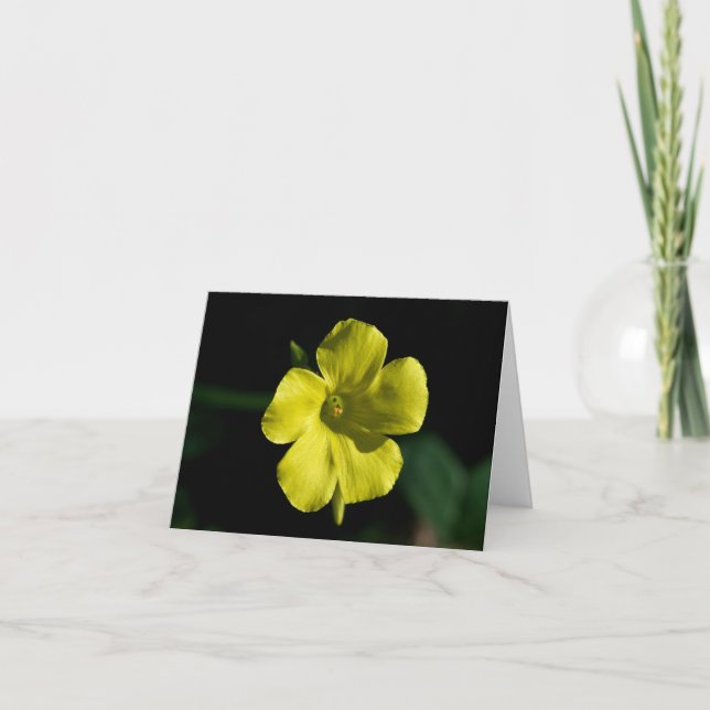 Cartão Flor Sunshine (Frente)