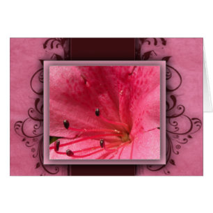 Cartão Flor tropical cor-de-rosa do hibiscus