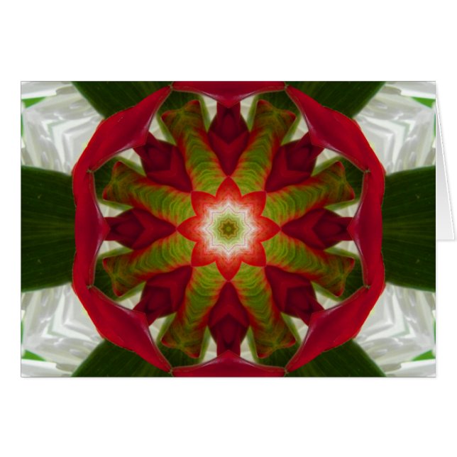 Cartão Flor Tropical Mandala (Frente Horizontal)