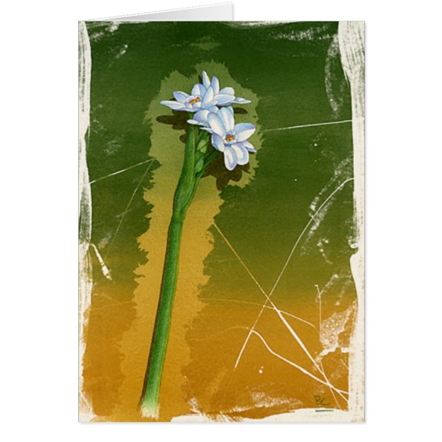 Cartão Flor Verde (Frente)