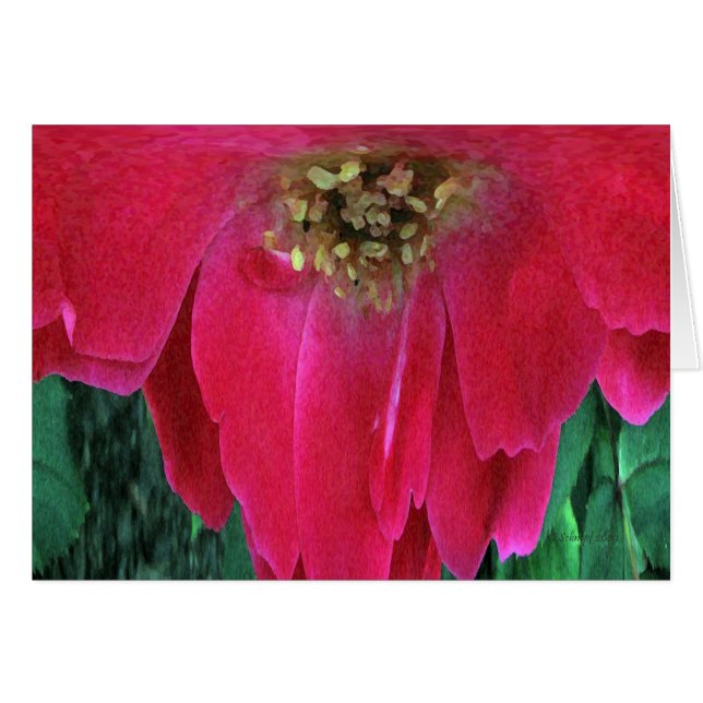 Cartão Flor vermelha (Frente Horizontal)