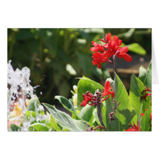 Cartão Flor vermelha alta