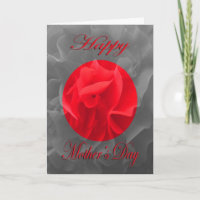 Flor Vermelho Dianthus do Dia da Mãe