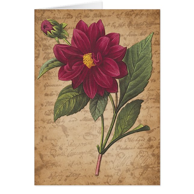 Cartão Flor Vermelho e Letra (Frente)