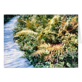 Cartão Flora de Trailside