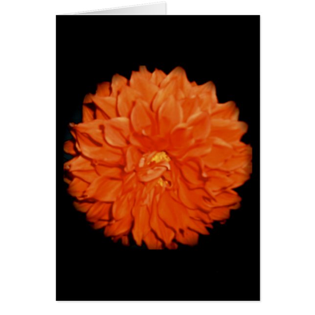 Cartão Flora Escarlate (Frente)