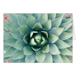 Cartão Flora na cidade das rochas em Deming, nanômetro