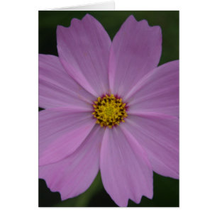 Cartão flora perfeita