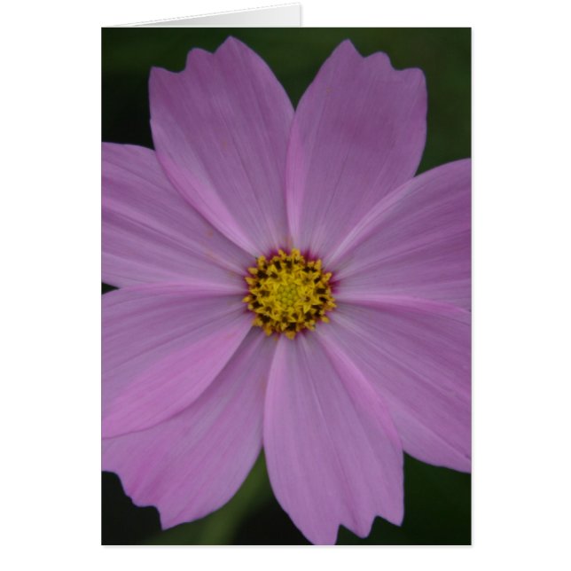 Cartão flora perfeita (Frente)