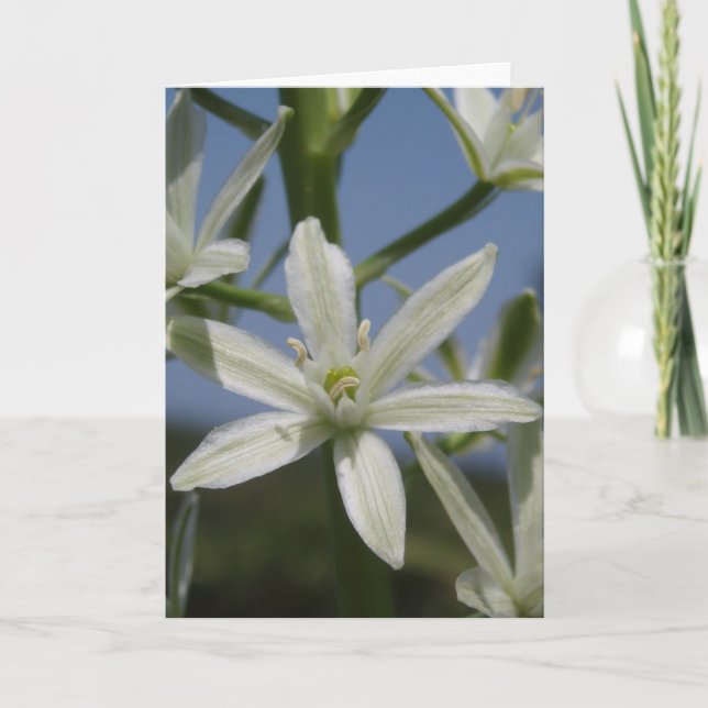 Cartão Floral Branco (Frente)