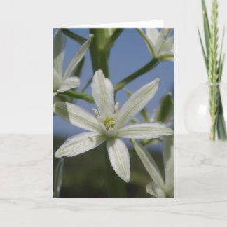 Cartão Floral Branco