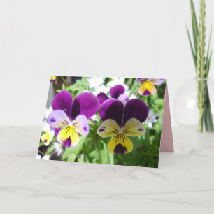 Cartão floral de Flor Bonita Violeta Amor-Perfeito