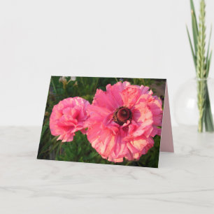 Cartão floral de Flor de Primavera Ranúnculo Rosa