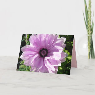Cartão floral de flor de primavera Ranúnculo Roxo