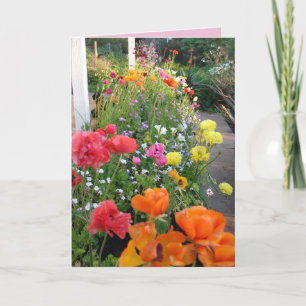 Cartão Floral de Ranúnculo Rosa Cottage Garden Smi
