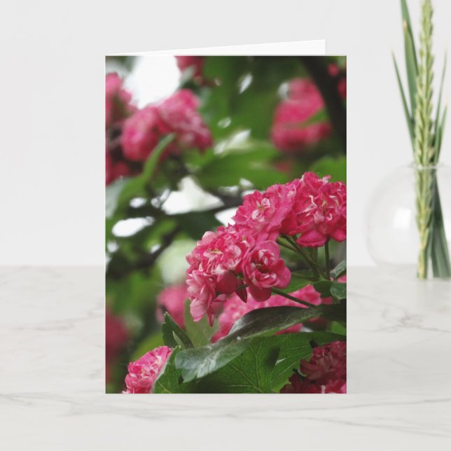 Cartão Floral de Saudação, Padrão (Frente)