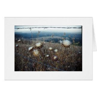 Cartão floral de vazio