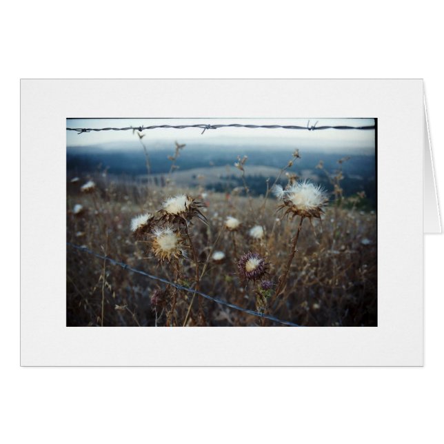 Cartão floral de vazio (Frente horizontal)