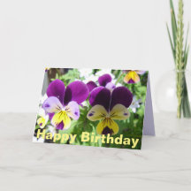 Cartão floral de Violeta Roxa Amora Flor Bonita