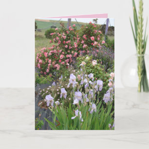 Cartão Floral Íris Jardim de Campo Rosa Beleza