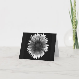 Cartão Floral Note Card of  Fiery Silver Daisy