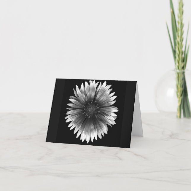 Cartão Floral Note Card of  Fiery Silver Daisy (Frente)