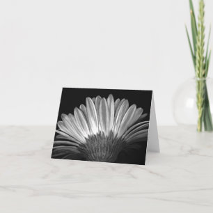 Cartão Floral Note Card of Silver Gerbera Daisy