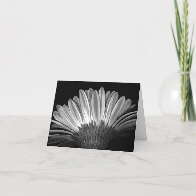 Cartão Floral Note Card of Silver Gerbera Daisy (Frente)