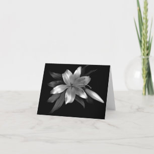 Cartão Floral Note Card Silver Stargazer Lily