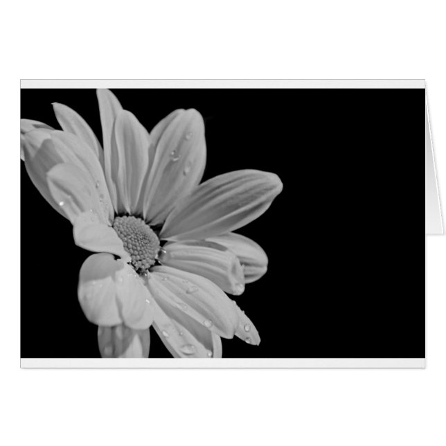 Cartão Floral Pacífico (Frente Horizontal)