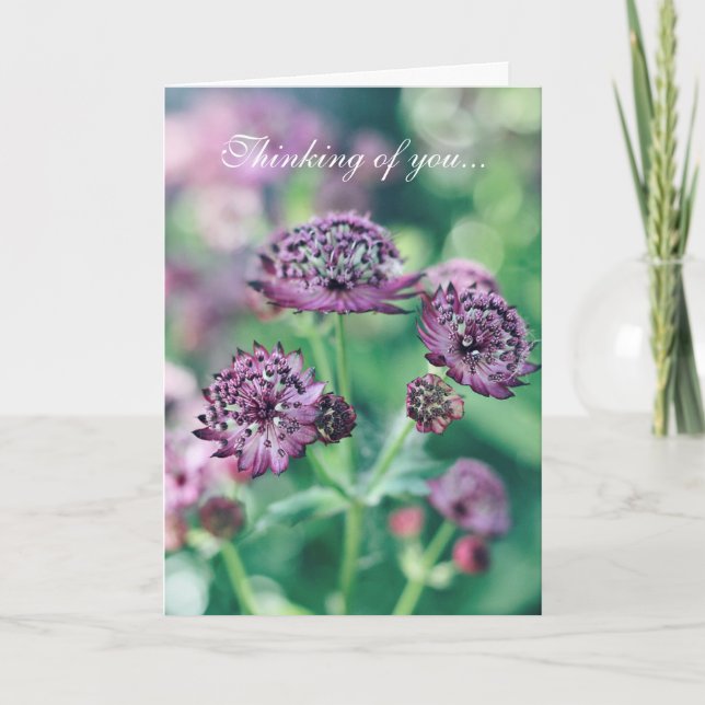 Cartão Floral Pensando em Você (Frente)