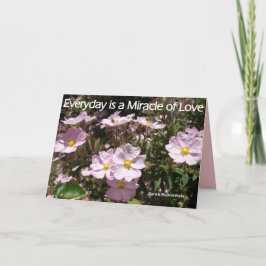 Cartão floral Pink Rock Roses Everyday is a Miracl