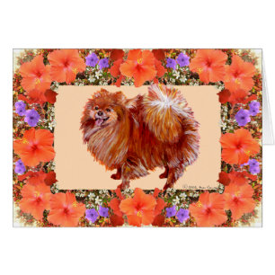 Cartão Floral Pomerânia