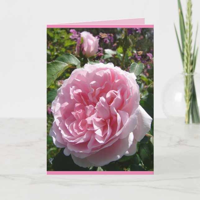Cartão Floral Rosa Repolho Inglês Vintage Rosa (Frente)