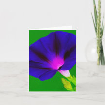Floral Rosa-Roxo