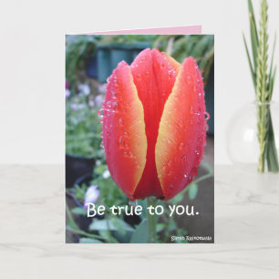 Cartão Floral Tulipa Vermelha e Gotículas de Chuva