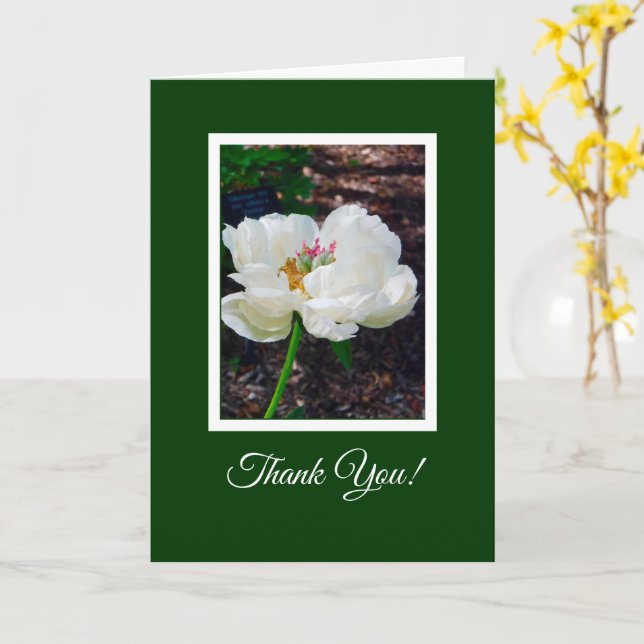 Cartão Floral/ White Peony/ Obrigado (Flor Amarela)
