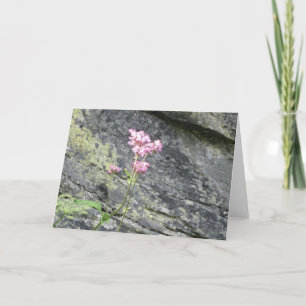 Cartão Flores Alpinas