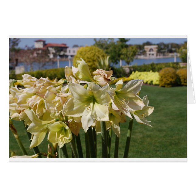 Cartão Flores Amarelas (Frente Horizontal)