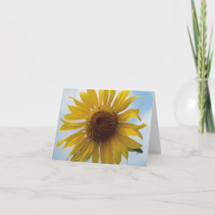 Cartão Flores Amarelas Vibrantes do Sol no Céu Azul