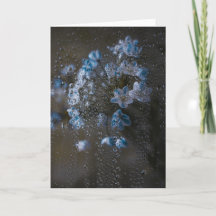 Flores Azuis Suaves na Chuva, Arte de Condenolênci