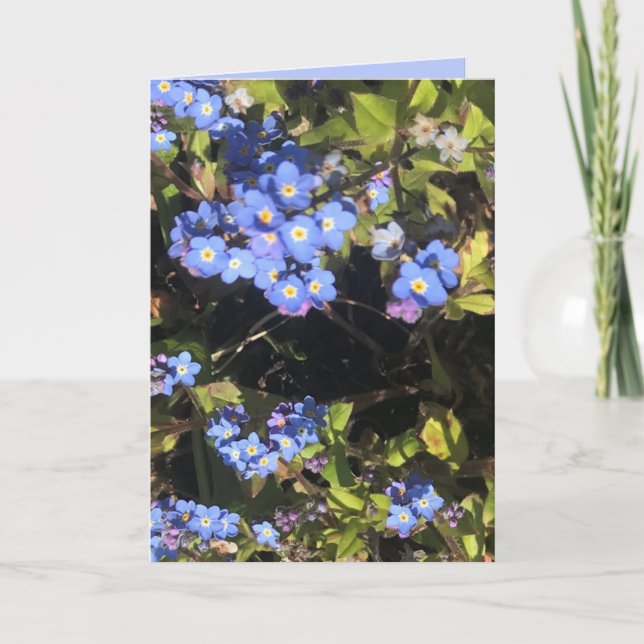 Cartão Flores Azul Esqueçam-Me-Não (Frente)