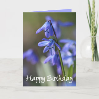 Cartão Flores Blue Scilla siberica (Wood Squill)