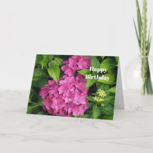 Cartão Flores bonito de Hydrangea Foto Aniversário