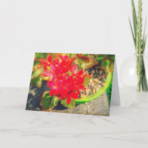 Cartão Flores bonito de Sangue Vermelho