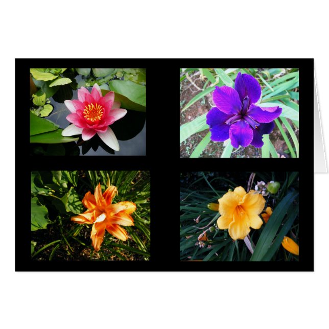 Cartão Flores bonito, vazio (Frente Horizontal)