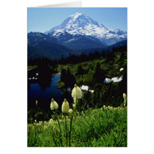 Cartão flores brancas do Monte Rainier