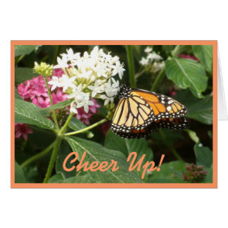 Cartão Flores brancas do rosa da borboleta do amarelo