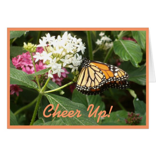 Cartão Flores brancas do rosa da borboleta do amarelo (Frente Horizontal)