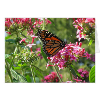 Cartão Flores-Butterflores